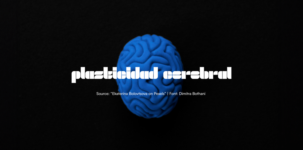 Plasticidad cerebral