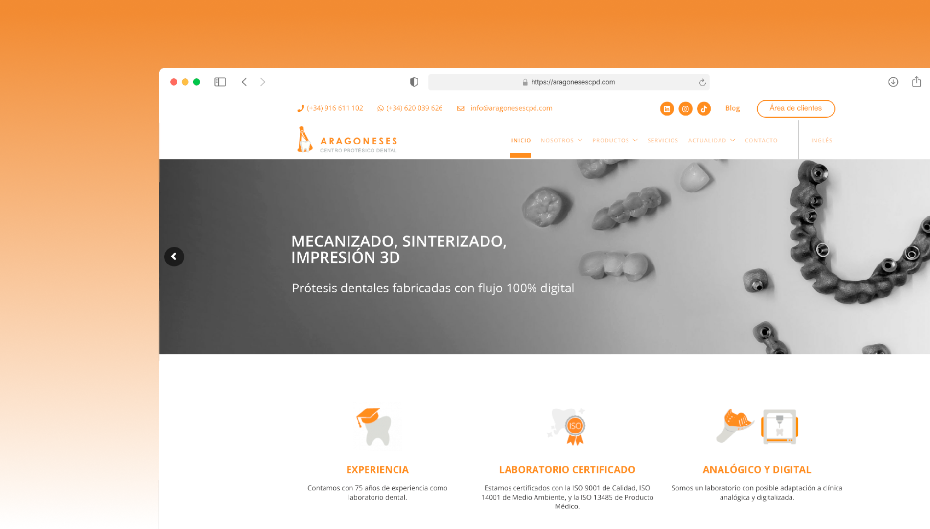 Aragoneses web by ingenyus